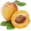 Apricot