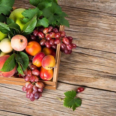 Harvest Calendar