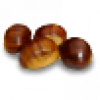 Chestnut